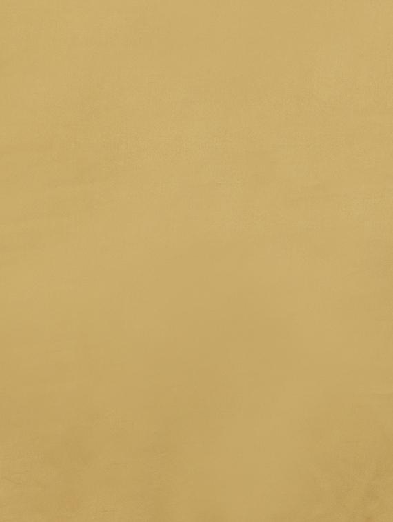 contrast lace detailing plain saree with blouse - 15008975 - Zoom Image - 4