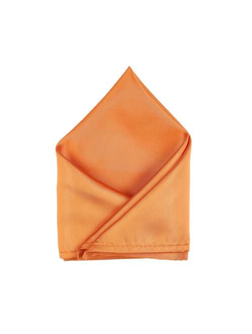 orange polyester pocketsquare - 15025995 - Standard Image - 1