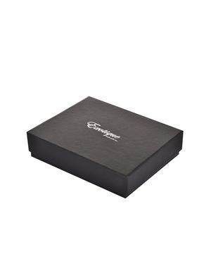 brown belt - 15164664 - Standard Image - 3