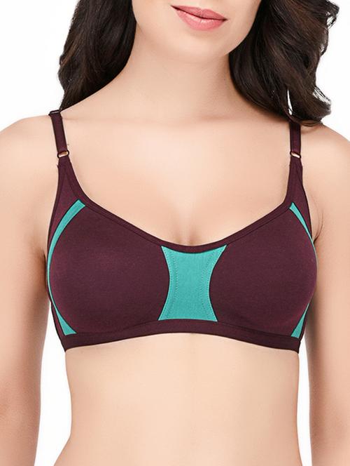 Brown solid hosery bra - 15188961 - Standard Image - 1