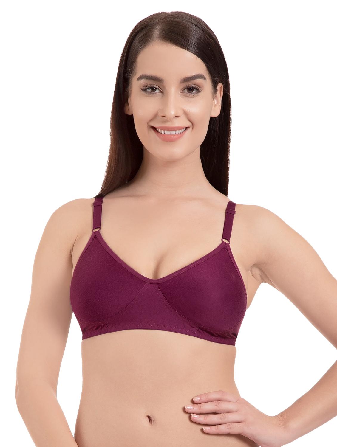 set of 2 purple solid cotton t-shirt bra - 15203819 - Zoom Image - 2