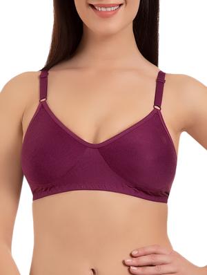 set of 2 multicolored solid cotton t-shirt bras - 15203827 - Standard Image - 2