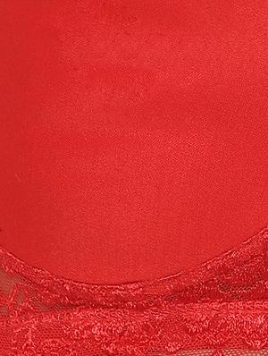 bow patch laced bra - 15221694 - Standard Image - 4
