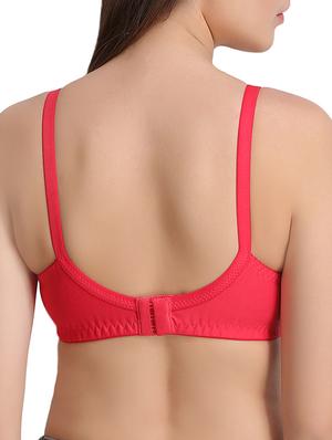 set of 2 bow patch bra - 15254955 - Standard Image - 5