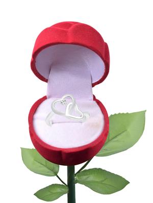 hand ring - 15290287 - Standard Image - 2