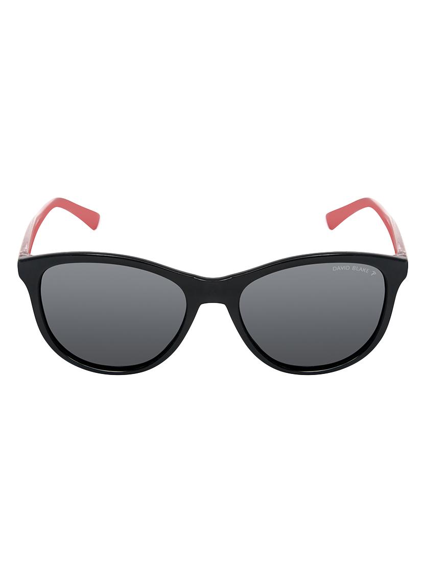 david blake black round polarized & uv protected sunglass - 15324106 - Zoom Image - 1