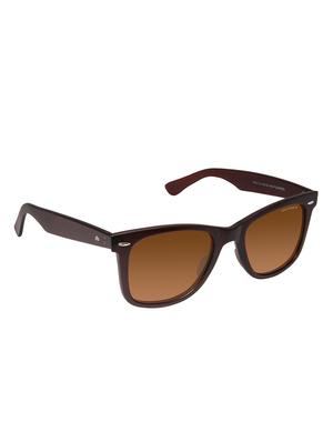 david blake brown wayfarer polarized & uv protected sunglass - 15324141 - Standard Image - 2