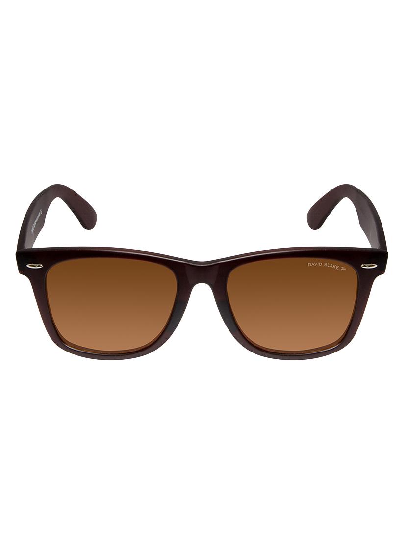 david blake brown wayfarer polarized & uv protected sunglass - 15324141 - Zoom Image - 1