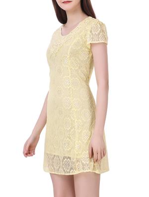 lace yoke floral net dress - 15338121 - Standard Image - 2