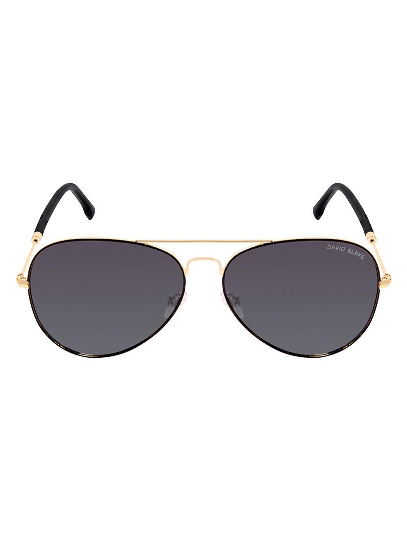 David Blake Blue Aviator Gradient, Polarised & UV Protected Sunglass - 15347011 - Zoom Image - 1