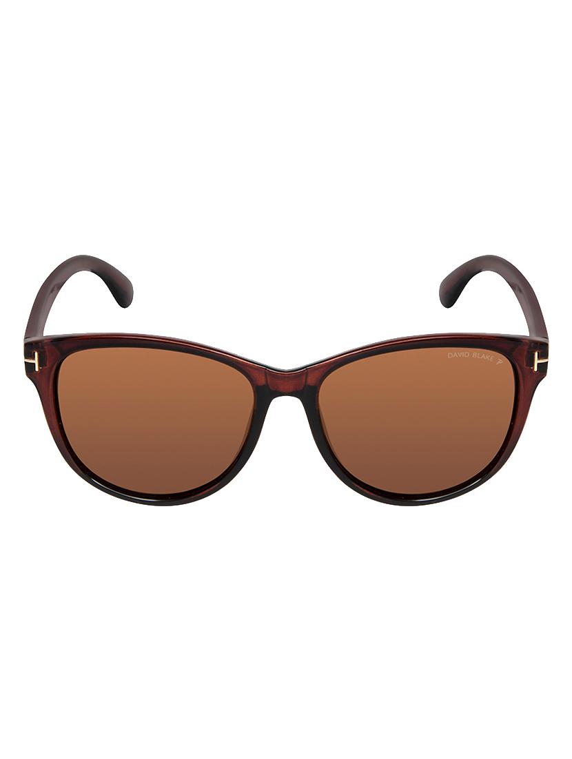 David Blake Brown Round Polarised & UV Protected Sunglass - 15347020 - Zoom Image - 1