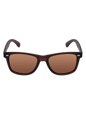 David Blake Brown Wayfarer Polarised & UV Protected Sunglass - 15347021 - Standard Image - 1