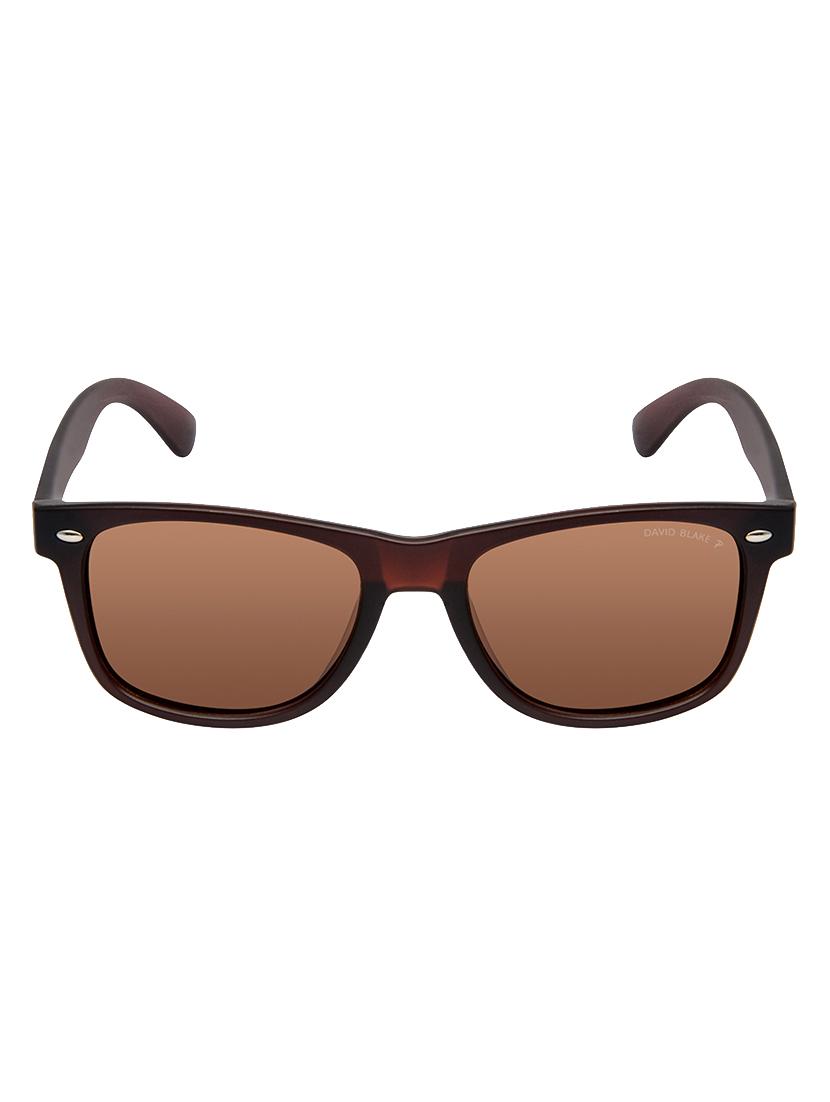 David Blake Brown Wayfarer Polarised & UV Protected Sunglass - 15347021 - Zoom Image - 1