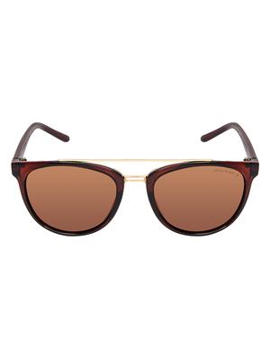 David Blake Brown Round Polarised & UV Protected Sunglass - 15347028 - Standard Image - 1