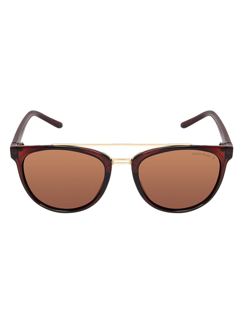 David Blake Brown Round Polarised & UV Protected Sunglass - 15347028 - Zoom Image - 1