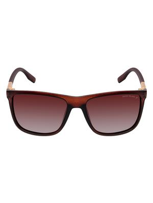 David Blake Brown Wayfarer Gradient, Polarised & UV Protected Sunglass - 15347029 - Standard Image - 1