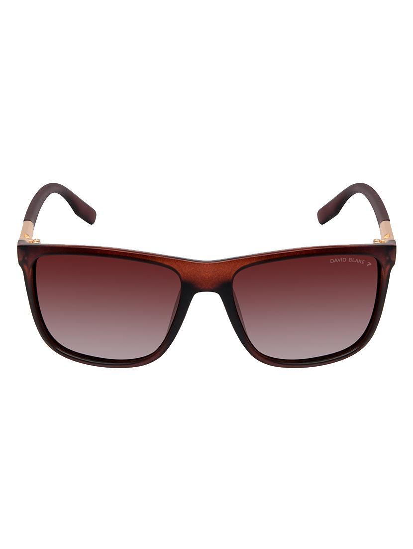 David Blake Brown Wayfarer Gradient, Polarised & UV Protected Sunglass - 15347029 - Zoom Image - 1