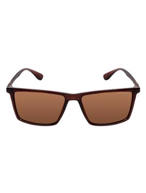 David Blake Brown Rectangular Polarised & UV Protected Sunglass - 15347407 - Standard Image - 1