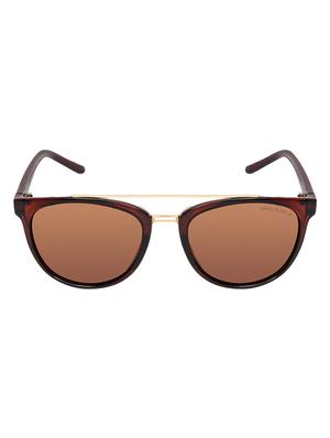 David Blake Brown Round Polarised & UV Protected Sunglass - 15347418 - Standard Image - 1