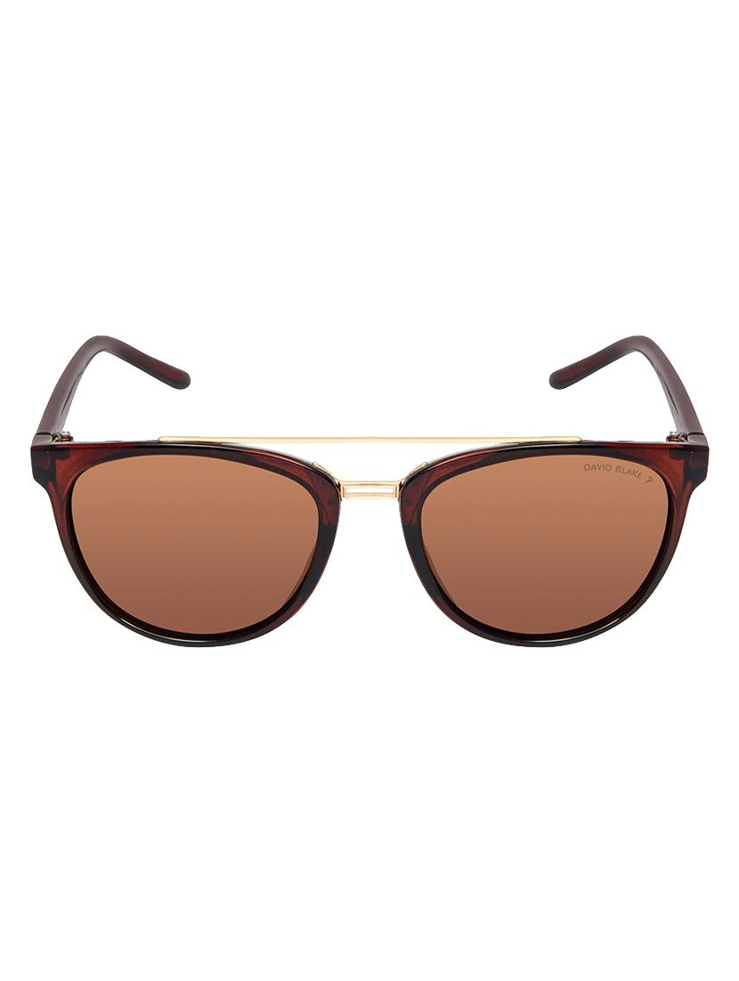 David Blake Brown Round Polarised & UV Protected Sunglass - 15347418 - Zoom Image - 1