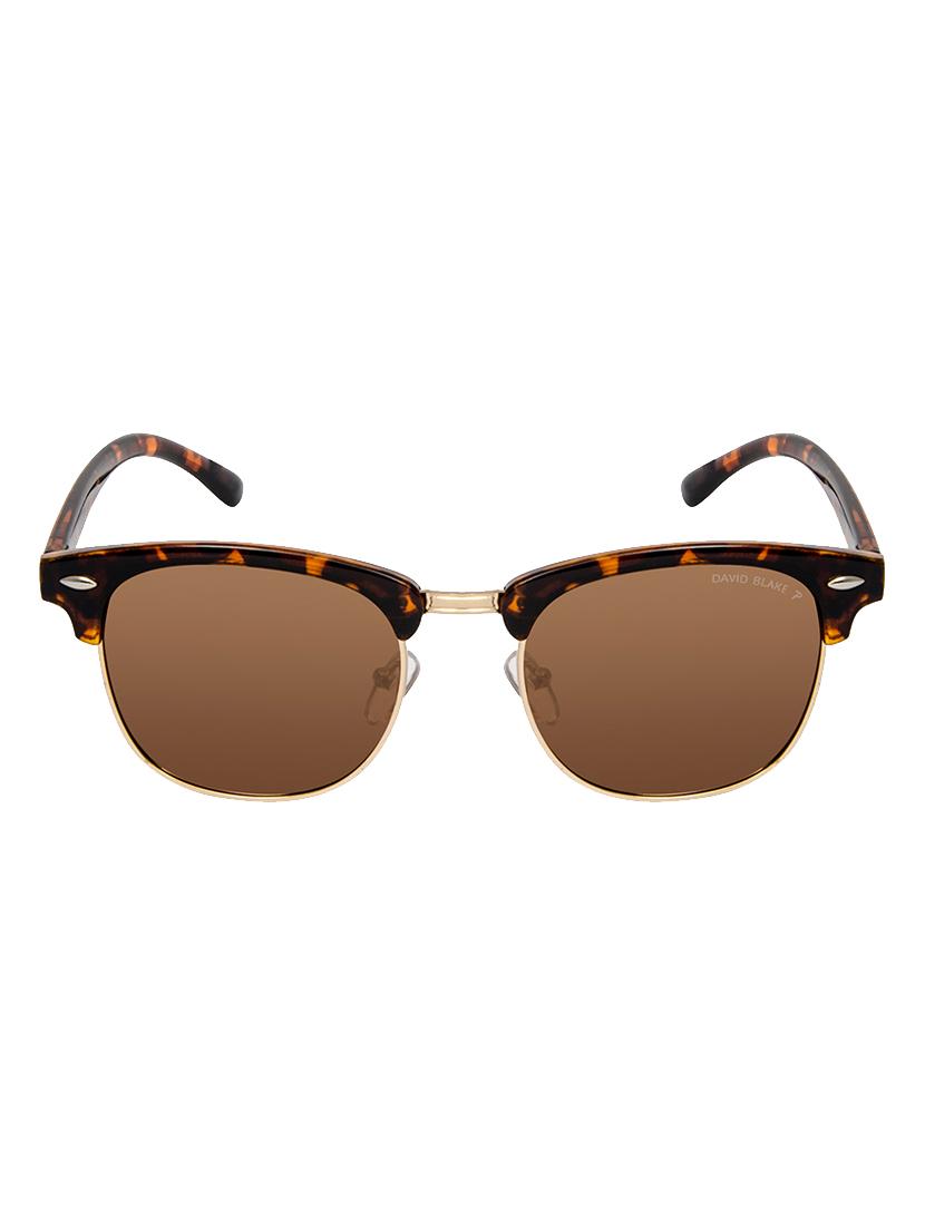David Blake Brown Clubmaster Gradient, Polarised & UV Protected Sunglass - 15347431 - Zoom Image - 1