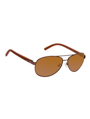 david blake brown aviator polarized uv protected sunglass - 15418819 - Standard Image - 2