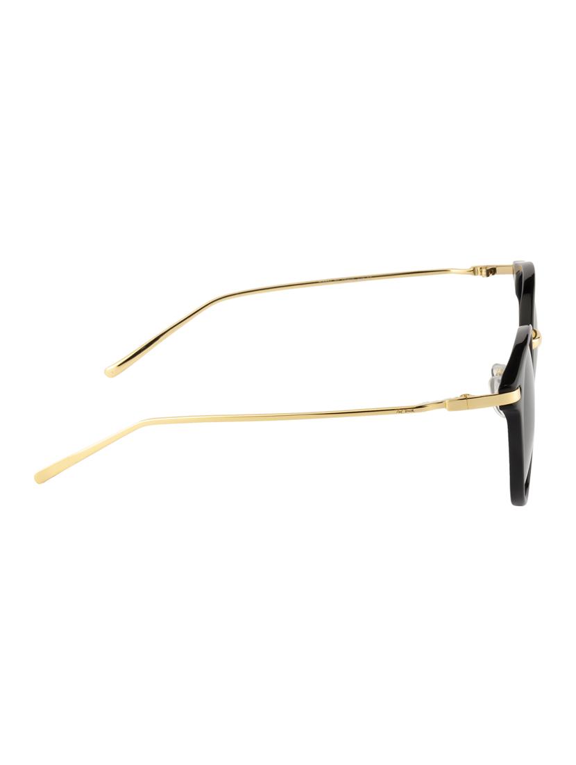 ted smith unisex round sunglasses (ts-p0801_c5) - 15431569 - Zoom Image - 3