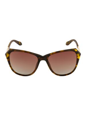 Ted Smith Women Cat-Eye Sunglasses(TS-P0808_C4) - 15431800 - Standard Image - 1