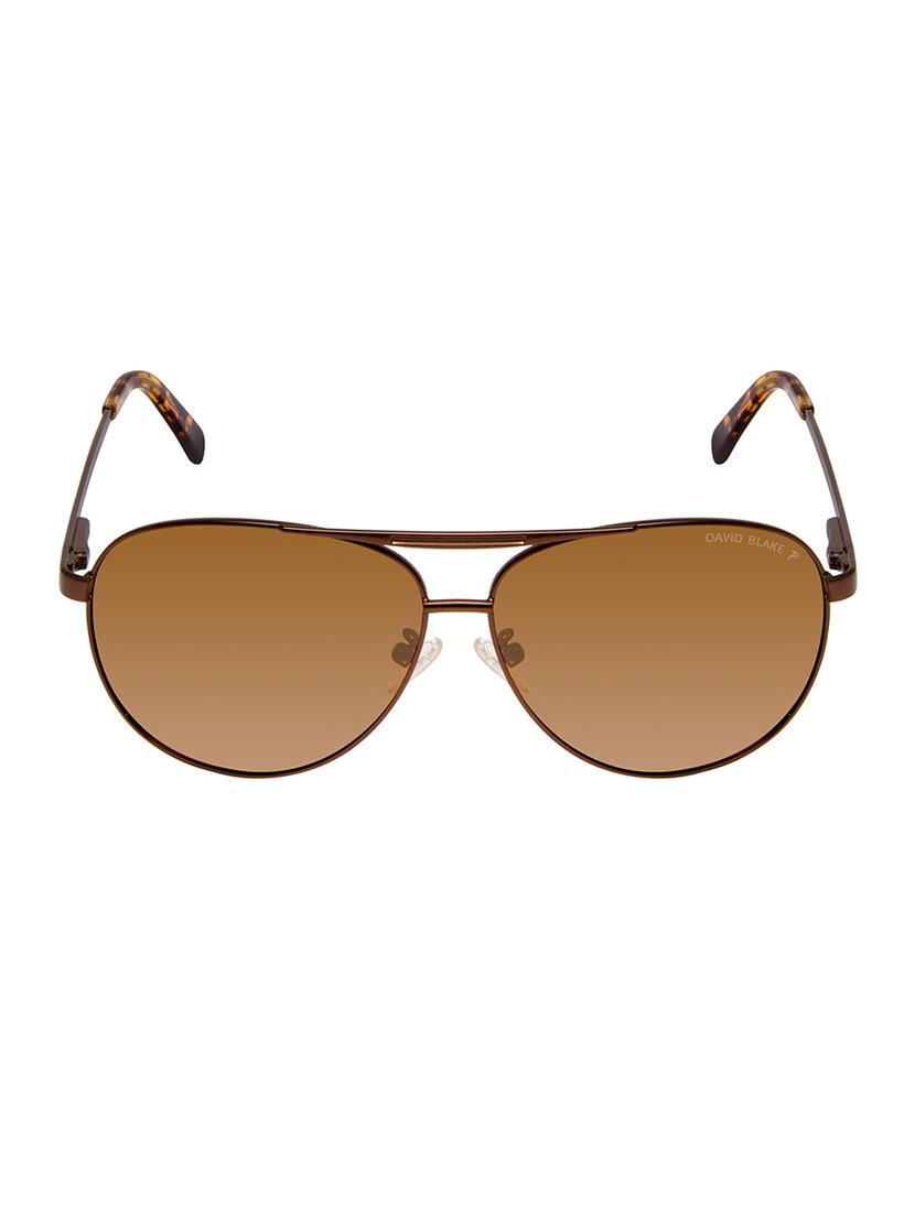 david blake brown aviator polarized uv protection sunglass - 15454879 - Zoom Image - 1