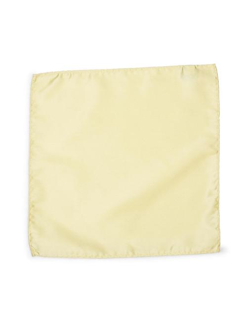 yellow polyester pocketsquare - 15497688 - Standard Image - 1