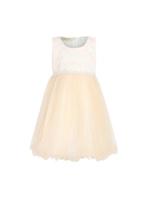 orange net frock - 15628898 - Standard Image - 1