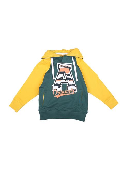 green cotton sweatshirt - 15680959 - Standard Image - 1