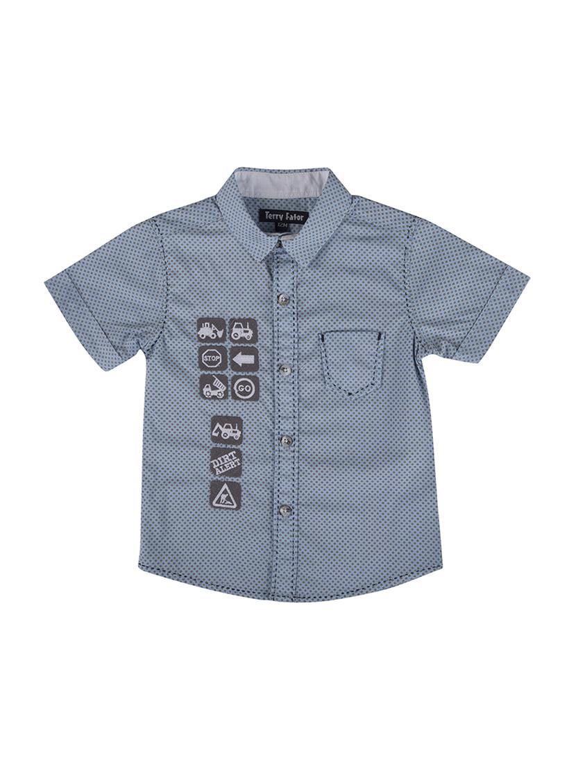 blue cotton shirt - 15714336 - Zoom Image - 1