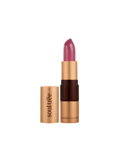 SoulTree Ayurvedic Lipstick - Iced Plum - 15723211 - Standard Image - 1