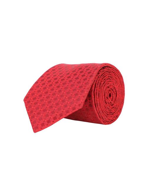 red silk tie - 15727885 - Standard Image - 1