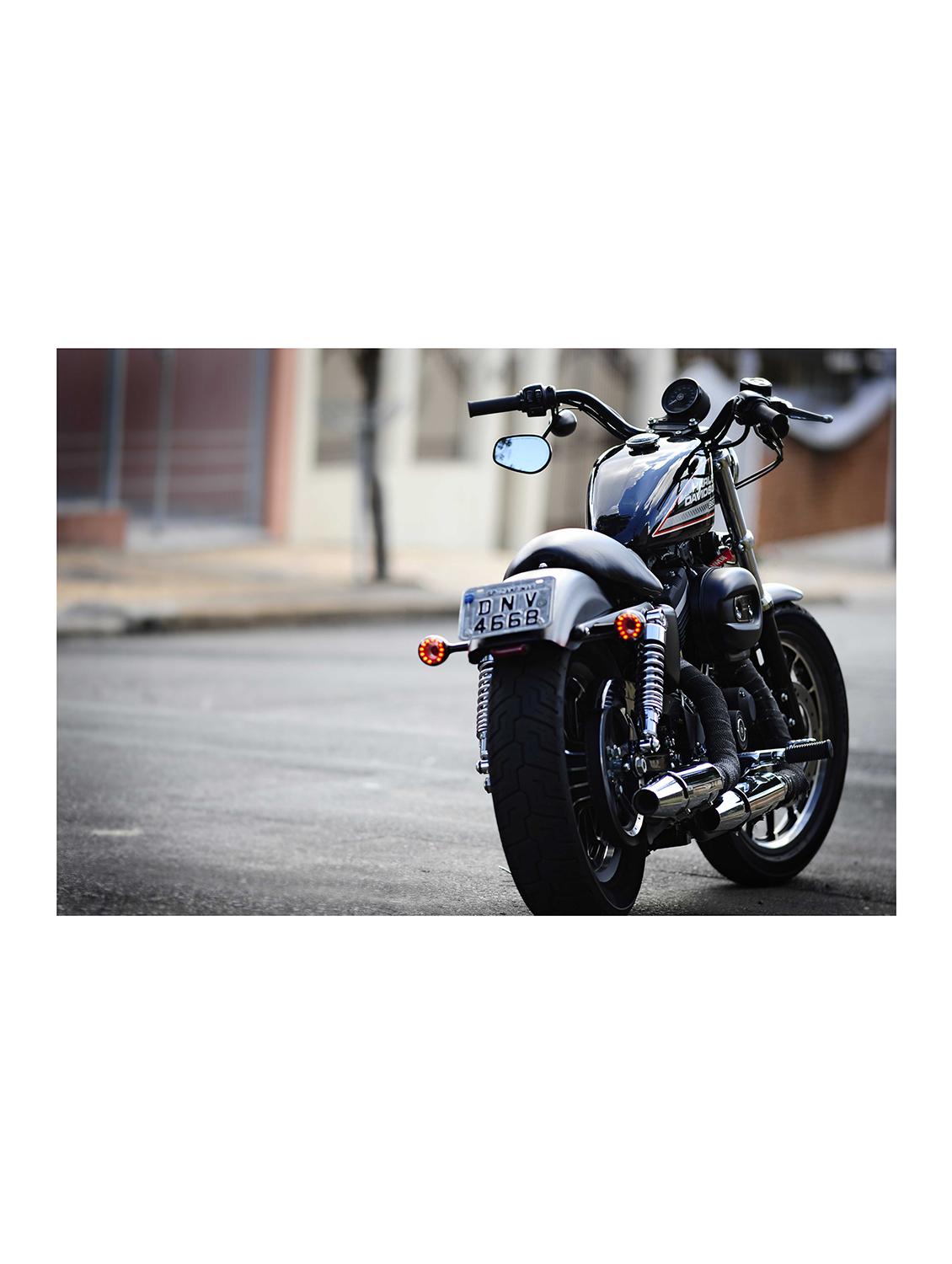 Rawpockets"Harley Davidson Back"Wall posters (PaperBoard,33cmX48cm) - 15732026 - Zoom Image - 1