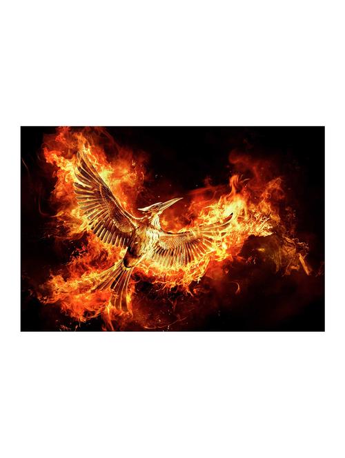 Rawpockets"Hunger Games Bird"Wall posters (PaperBoard,33cmX48cm) - 15732032 - Standard Image - 1