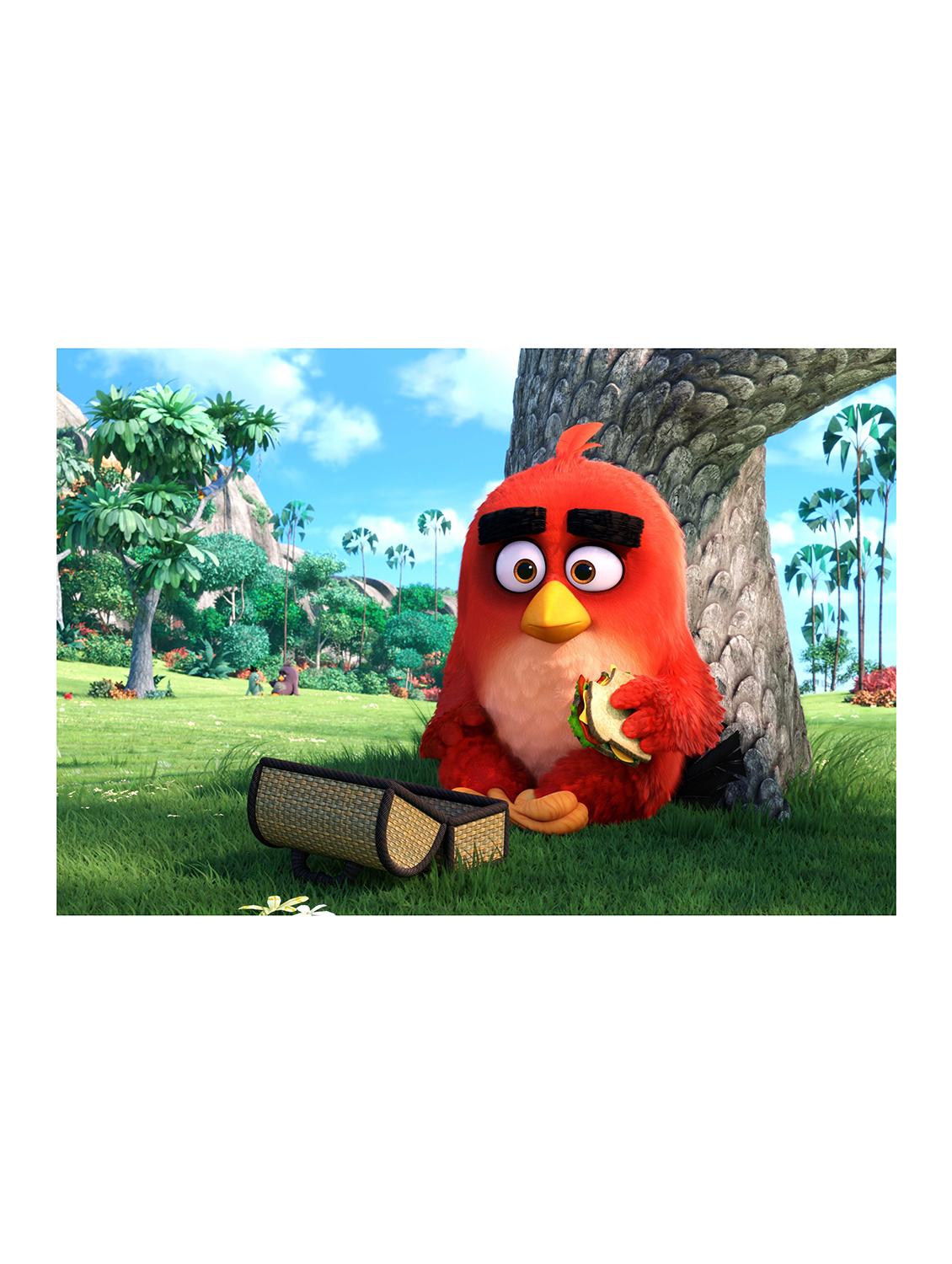 Rawpockets"Angry Birds"Wall posters (PaperBoard,33cmX48cm) - 15732076 - Zoom Image - 1