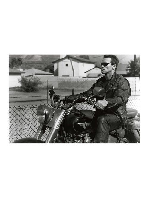 Rawpockets"Arnold Riding"Wall posters (PaperBoard,33cmX48cm) - 15732078 - Standard Image - 1