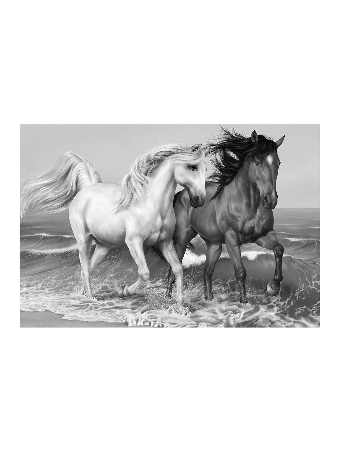 Rawpockets"Black n White Horse"Wall posters (PaperBoard,33cmX48cm) - 15732114 - Zoom Image - 1