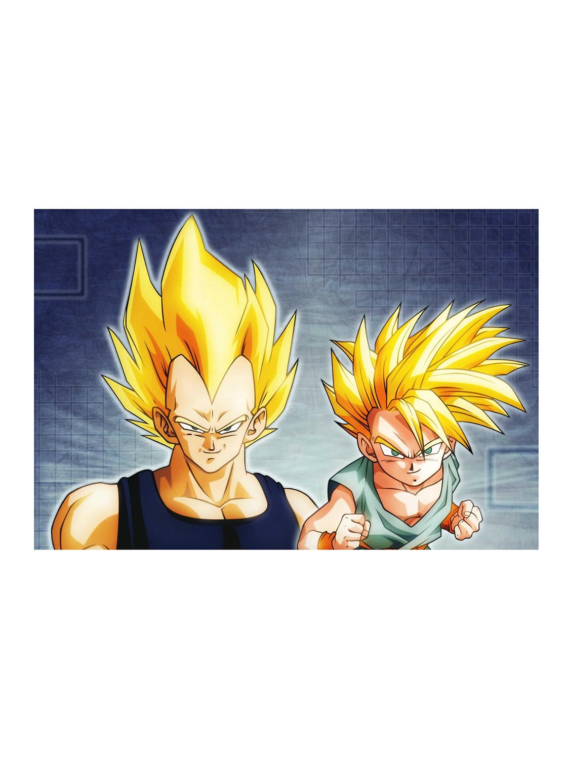 Rawpockets"Goku n Vegeta"Wall posters (PaperBoard,33cmX48cm) - 15732142 - Zoom Image - 1