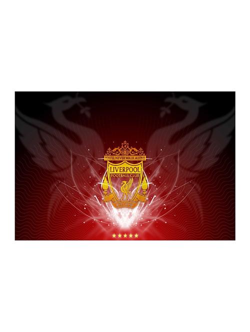 Rawpockets"Liverpool"Wall posters (PaperBoard,33cmX48cm) - 15732164 - Standard Image - 1