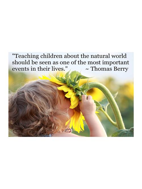 rawpockets"nature teaching for children"wall posters (paperboard,33cmx48cm) - 15732173 - Very Small Image - 1