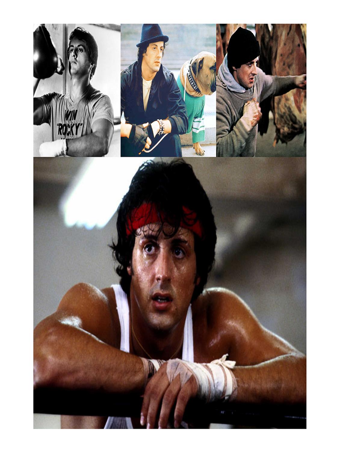 Rawpockets"Rocky in Action"Wall posters (PaperBoard,33cmX48cm) - 15732187 - Zoom Image - 1