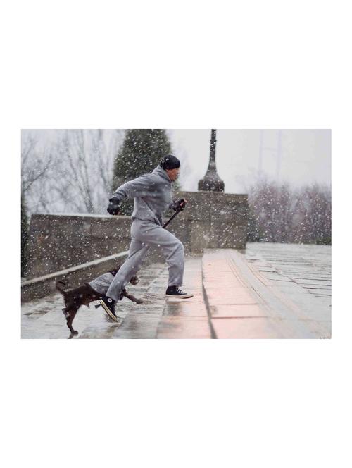 Rawpockets"Rocky Training"Wall posters (PaperBoard,33cmX48cm) - 15732189 - Standard Image - 1