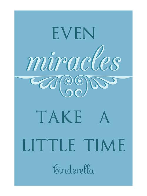 Rawpockets"Cindrella Miracles"Wall posters (PaperBoard,33cmX48cm) - 15732229 - Standard Image - 1