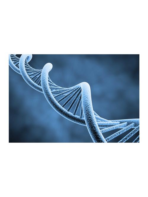 Rawpockets"DNA"Wall posters (PaperBoard,33cmX48cm) - 15732234 - Standard Image - 1