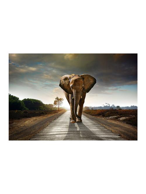 Rawpockets"Elephant Wallpaper"Wall posters (PaperBoard,33cmX48cm) - 15732238 - Standard Image - 1