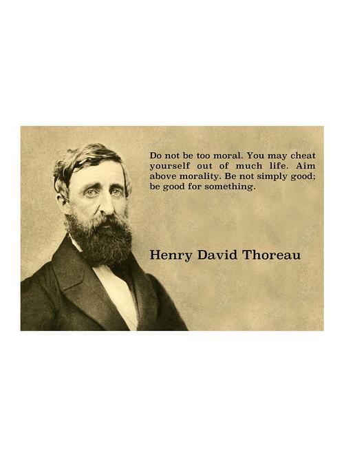 Rawpockets"Henry David"Wall posters (PaperBoard,33cmX48cm) - 15732252 - Standard Image - 1