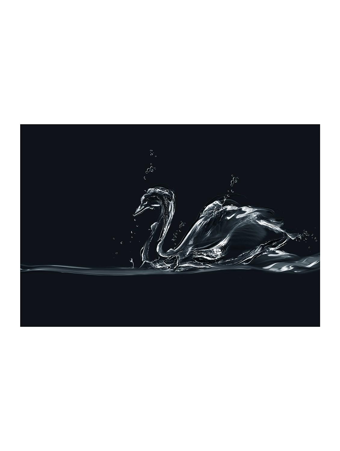 Rawpockets"Swan Crystal"Wall posters (PaperBoard,33cmX48cm) - 15732296 - Zoom Image - 1
